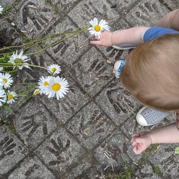 Meet your Posher, Chelsea - Picture 1 of 1